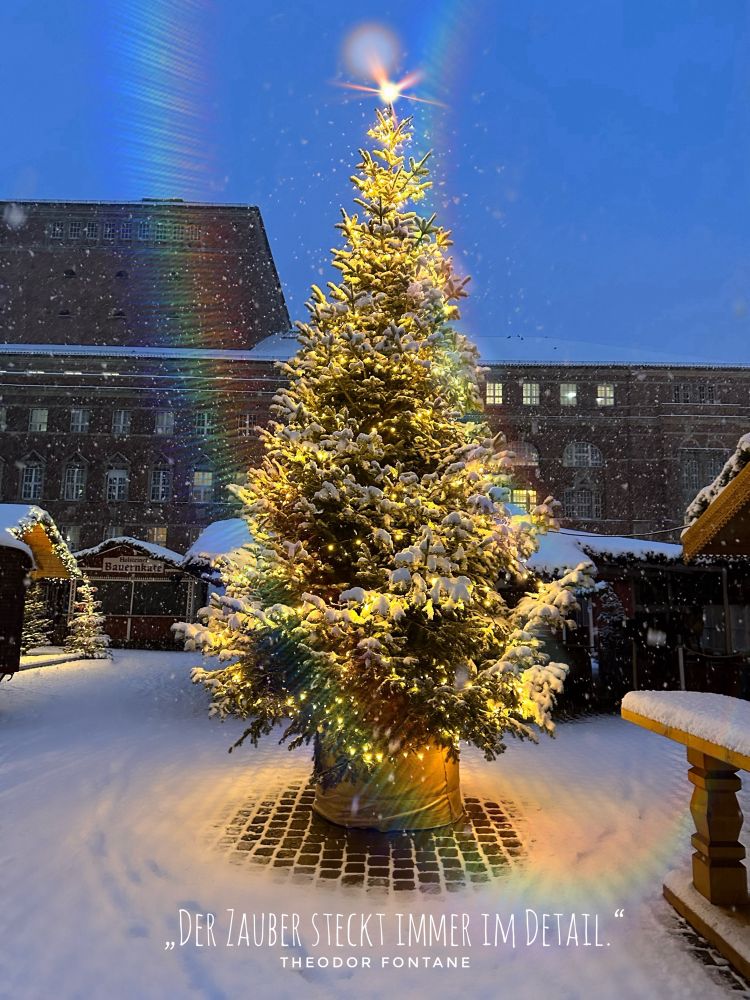 Beleuchteter Tannenbaum mit viel Schnee auf dem Rathausplatz in Kiel