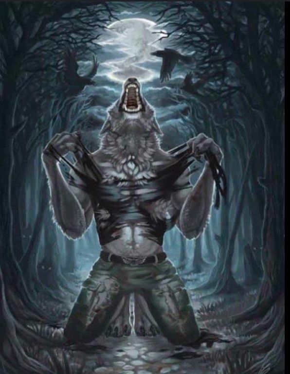 Le loup garou qui dechire son t-shirt ou jsp j’ai pas vue le film
