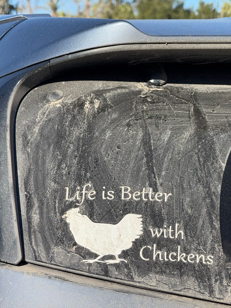 Sticker on back window of a car with a big chicken and a caption that says that Life is Better with Chickens