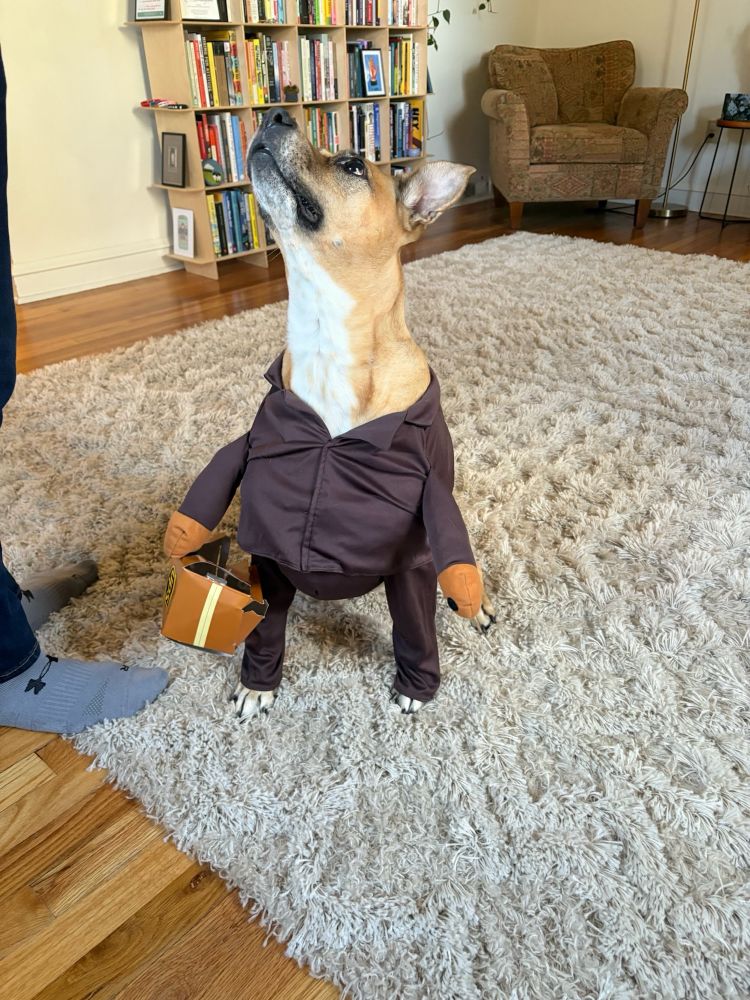 Crappy photo of my dog looking like an alien with a long neck