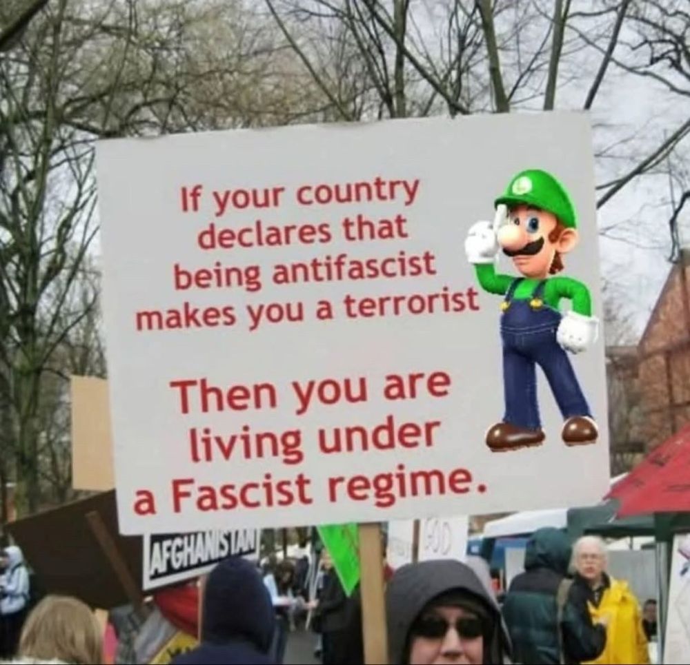A protesting person lifts a sign up above their head. It shows a picture of Luigi, from Mario Bros. The sign says: "If you country declares that being antifascist makes you a terrorist
Then you are living under a Fascist regime."