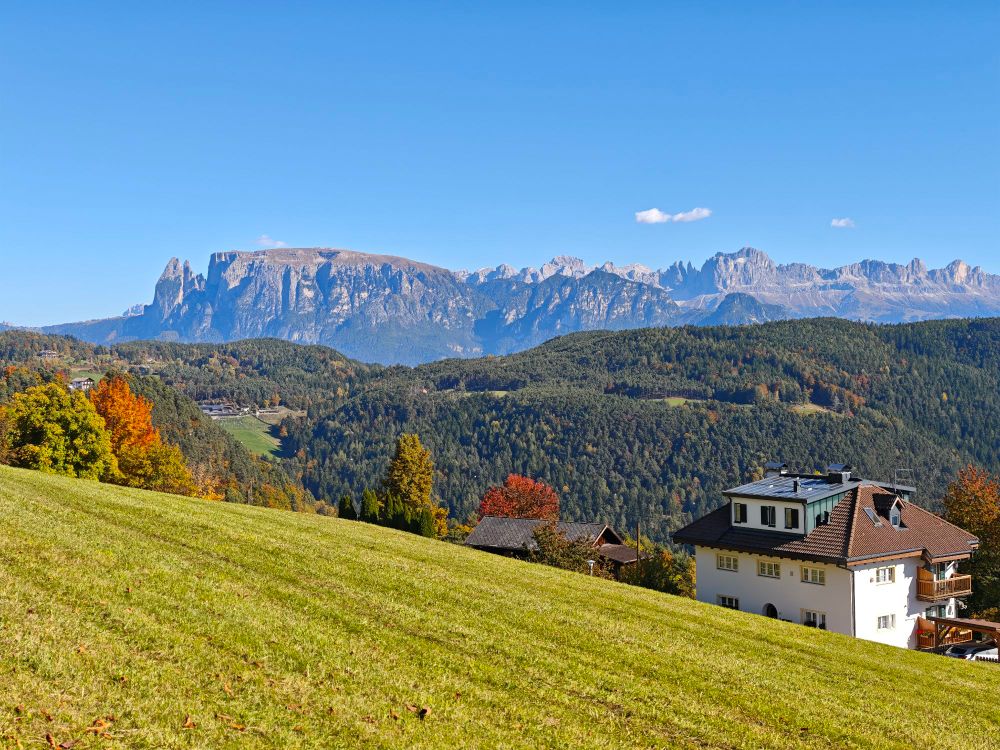 Blick von einer Wiese rüber auf die Berge Schlern und Rosengarten.