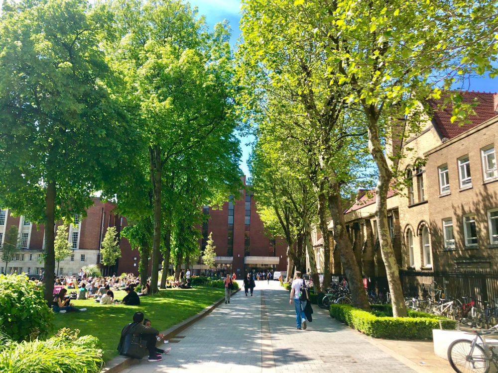 tree lined view of University of Manchester Main Library building