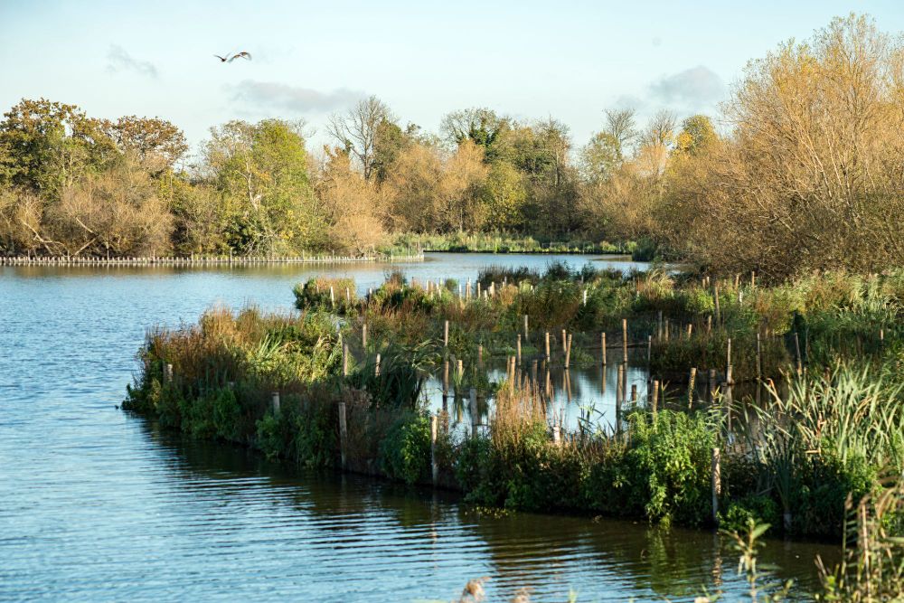 Response to coverage on the ‘March for Clean Water’