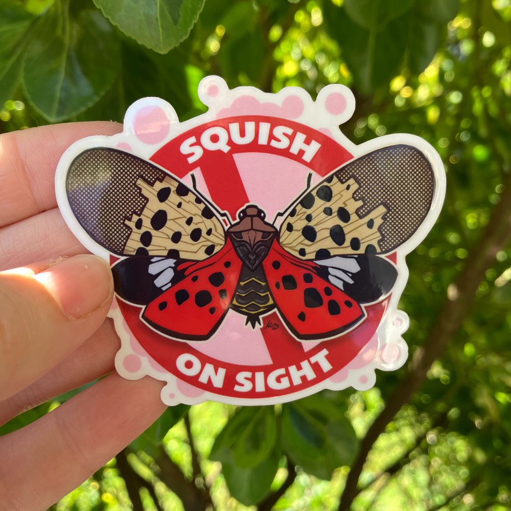 A photograph of a hand holding a sticker in front of some bright green leaves. The sticker features a spotted lanternfly with its wings open, sitting atop a red crossed out circle with the words "Squish on sight" around it.