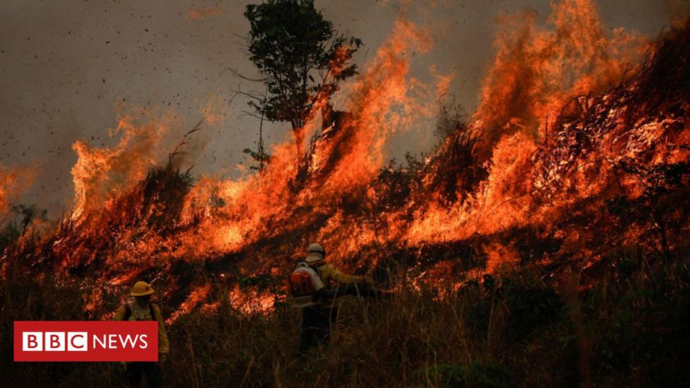 Eleições municipais 2024: os 2,8 mil candidatos multados por danos ao meio ambiente - BBC News Brasil