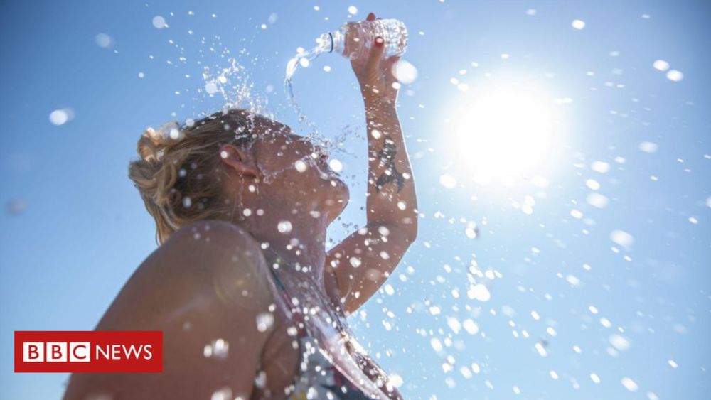 Onda de calor: o que acontece com o corpo sob temperaturas extremas - BBC News Brasil