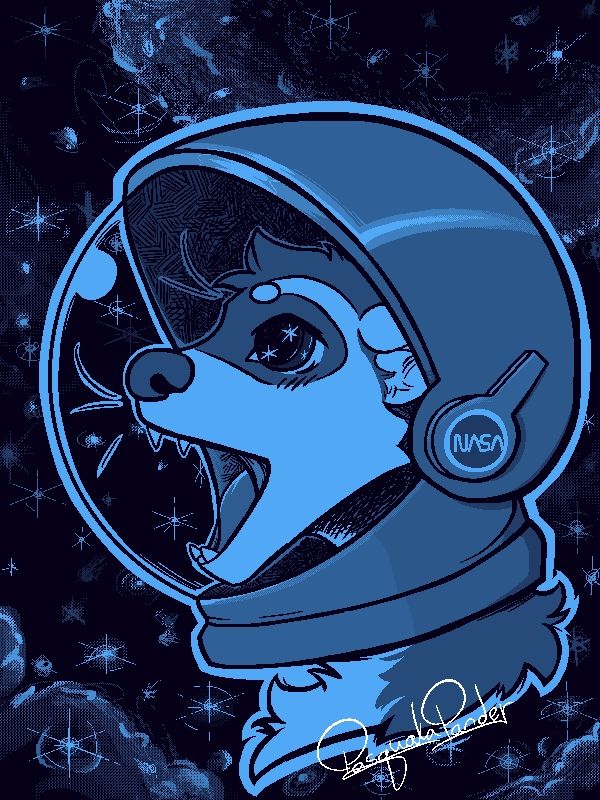 Debug the Ferret in an astronaut helmet staring at a star field. 