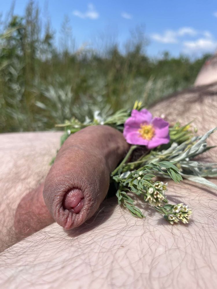 Uncut cock (semi-erect) with wildflowers tucked into the bush