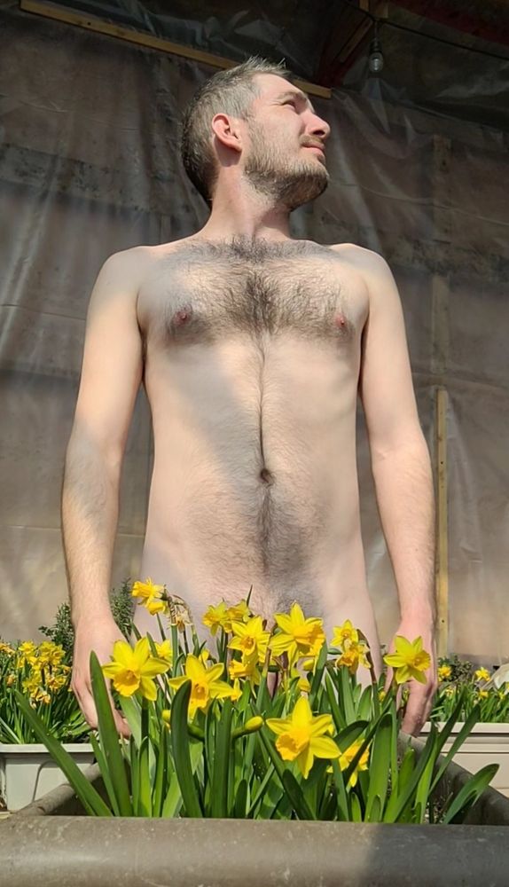 Standing naked behind daffodils, genitals obscured by flowers