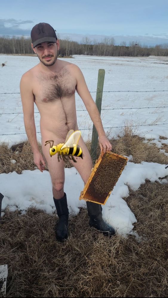 Man standing naked in a field holding a frame of honey bees, bee emoji covering up his privates