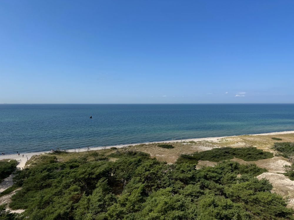 Blick auf eine teilweise bewaldete Küstenlinie, dahinter das Meer.