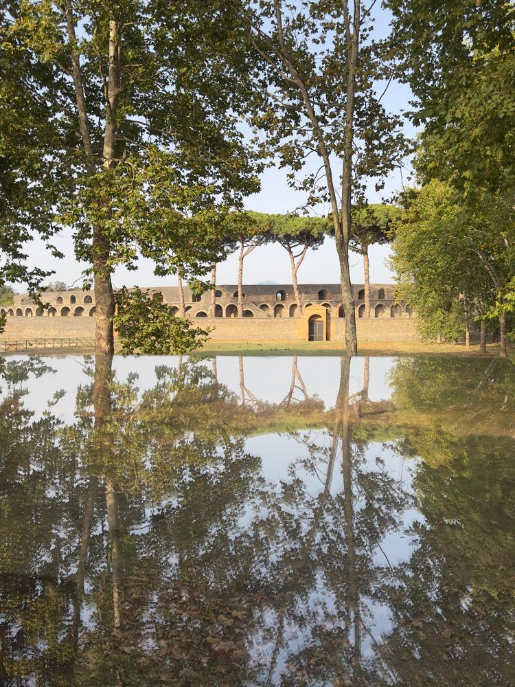 A view across the large gymnasium towards the amphitheatre whose arches can just be seen. The foreground is the top of a glass display case reflecting all the trees in the area as if it was a pool of water.