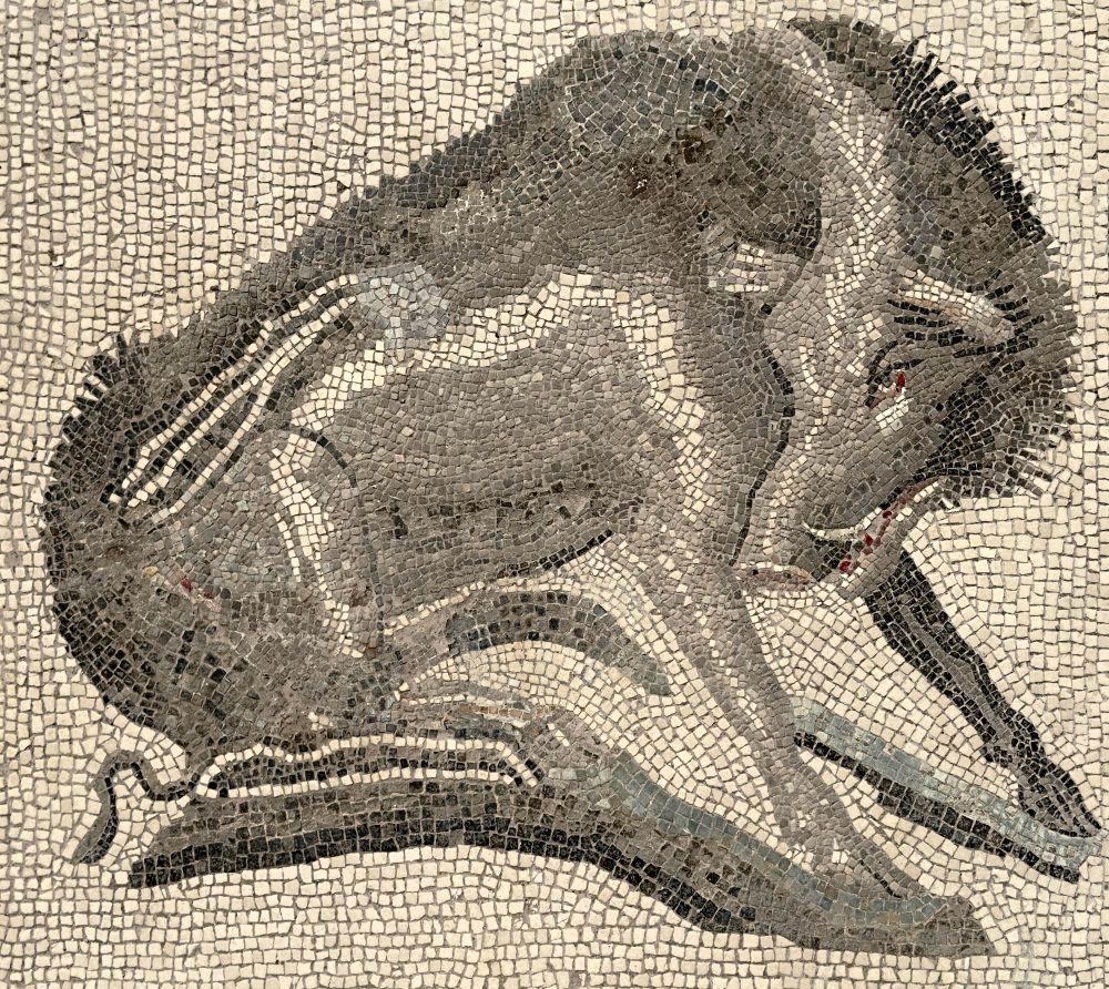 The mosaic boar against a white background propped up on its front legs.