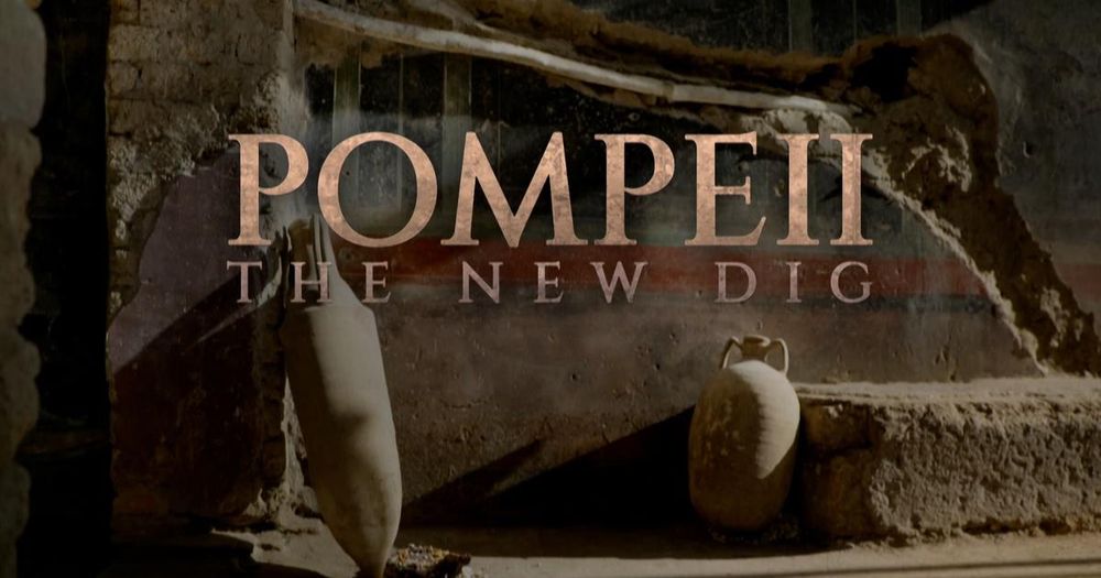 Join the final chapter of Pompeii's largest excavation in a generation.