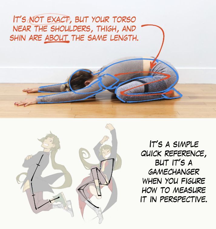 It's not exact, but your torso near the shoulders, thigh and shin are ABOUT the same length. It's a simple quick reference, but it's a gamechanger when you figure how to measure it in perspective. 