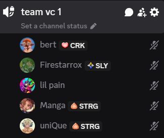 everyone is in the vc but also muted
