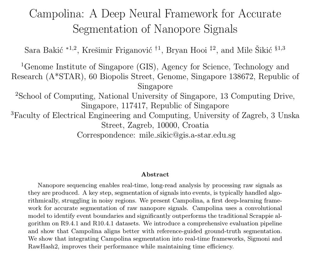 Campolina: A Deep Neural Framework for Accurate Segmentation of Nanopore Signals