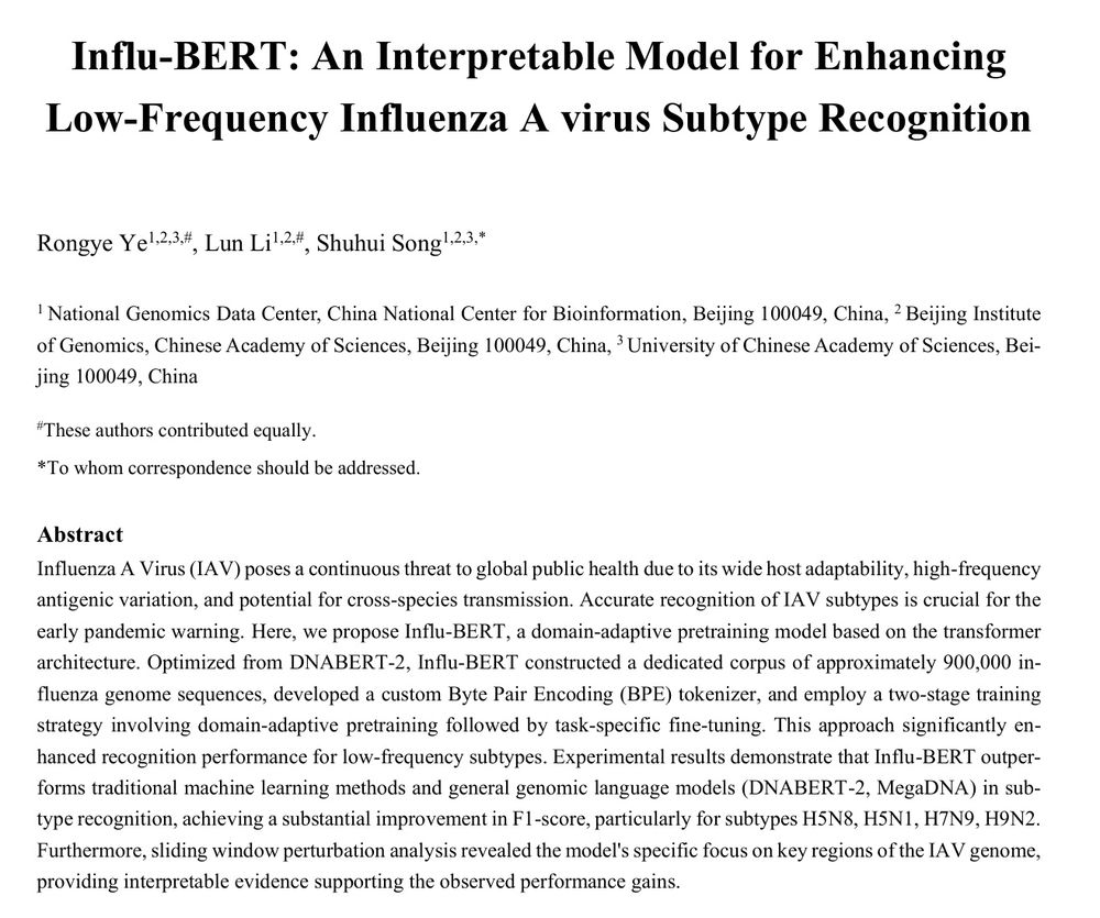 Influ-BERT: An Interpretable Model for Enhancing Low-Frequency Influenza A virus Subtype Recognition