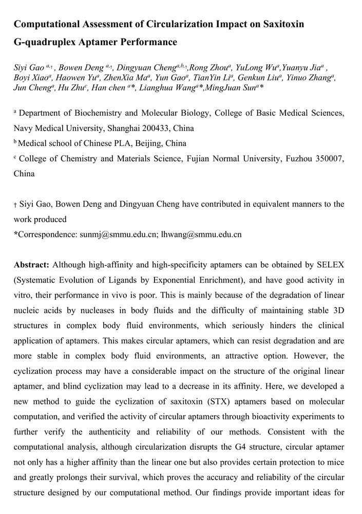 Computational Assessment of Circularization Impact on Saxitoxin G-quadruplex Aptamer Performance