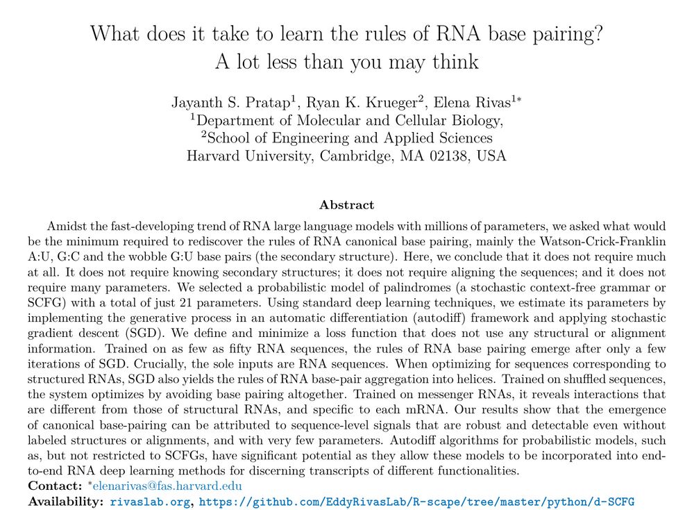 What does it take to learn the rules of RNA base pairing? A lot less than you may think