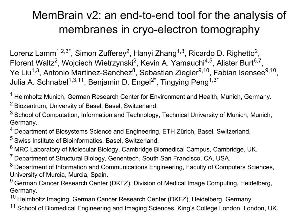 MemBrain v2: an end-to-end tool for the analysis of membranes in cryo-electron tomography