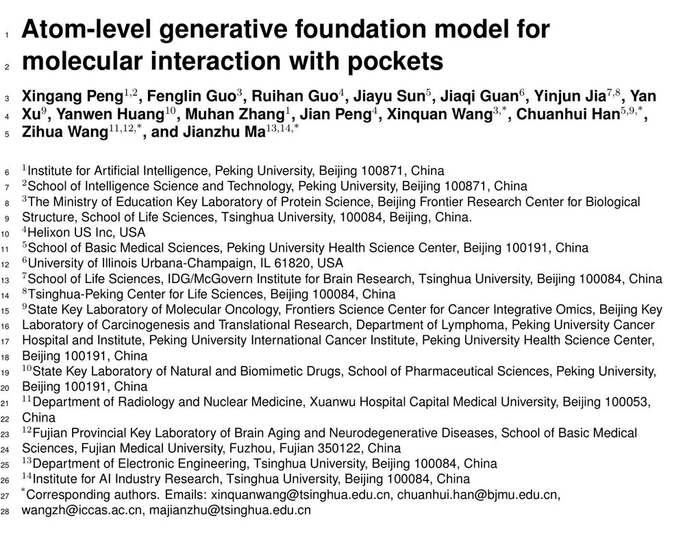 Atom-level generative foundation model for molecular interaction with pockets