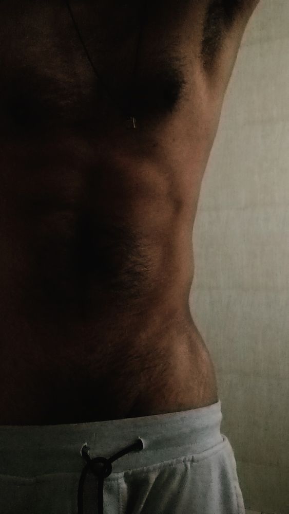 Wolf standing and showing his abs