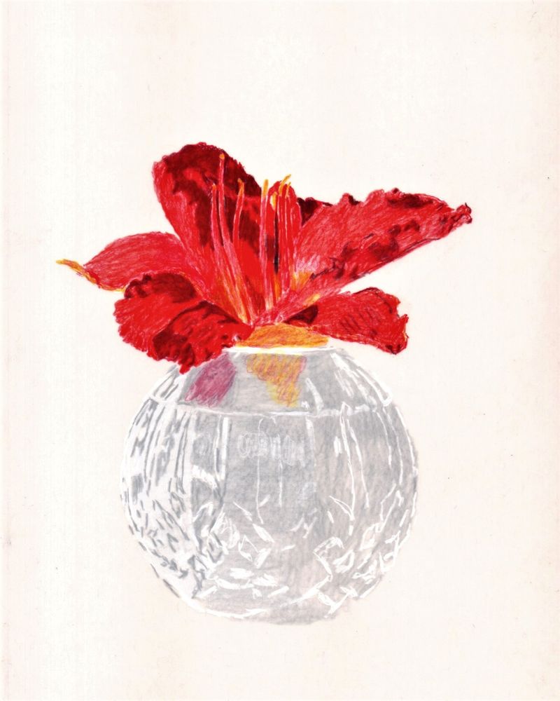 A red flower in a cut glass vase. Colored pencil on drafting film.