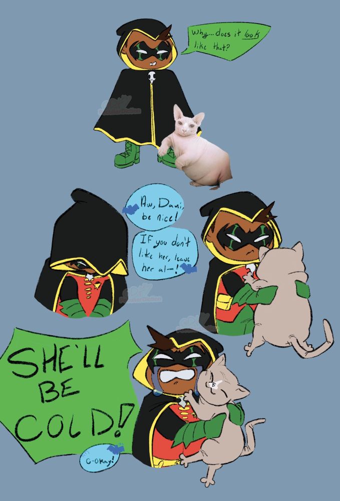 Damian wayne finding a very fat cat.

Text reads
"Why...does it LOOK like that?" "Aw, Dami, be nice! If you dont like her, leave her al–!" "SHE'LL BE COLD!" "o-okay!"