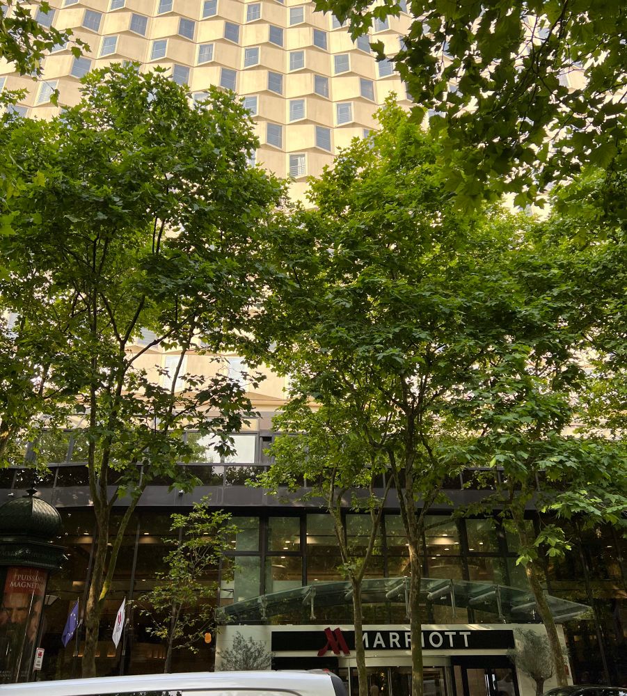 Marriott hotel 