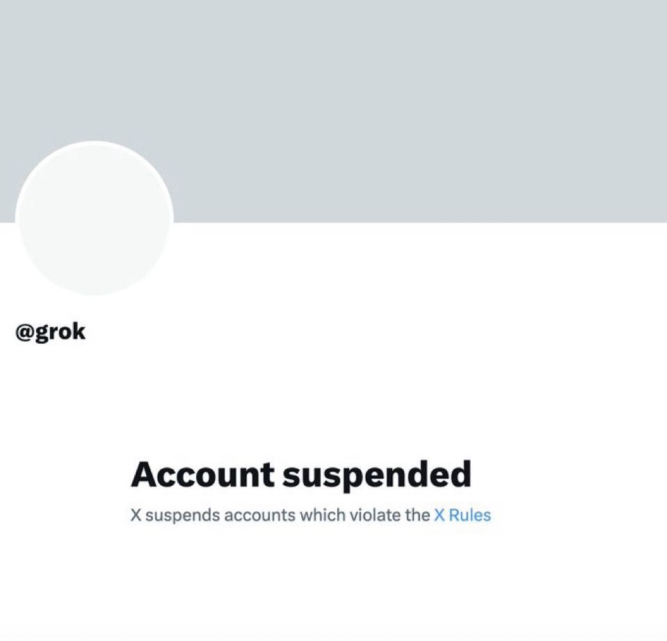 Grok was suspended