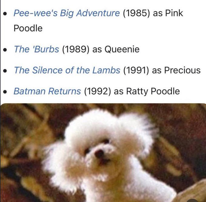 same dog starred

Pee-wee's Big Adventure (1985) as Pink
Poodle
• The 'Burbs (1989) as Queenie
• The Silence of the Lambs (1991) as Precious
• Batman Returns (1992) as Ratty Poodle