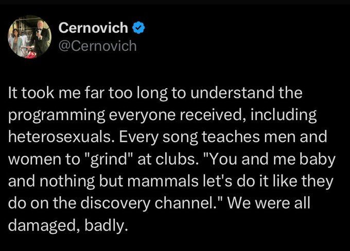 It took me far too long to understand the programming everyone received, including heterosexuals. Every song teaches men and women to "grind" at clubs. "You and me baby and nothing but mammals let's do it like they do on the discovery channel." We were all damaged, badly.