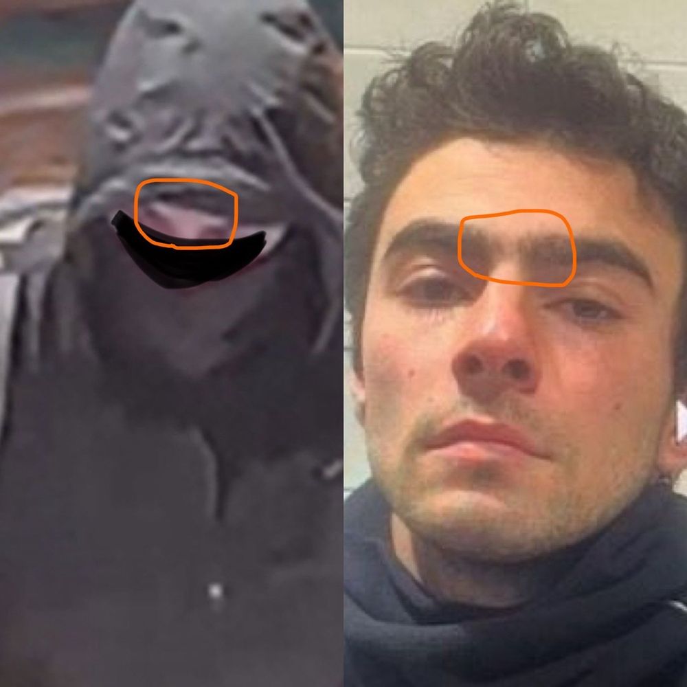 Luigi Mangione’s eyebrows