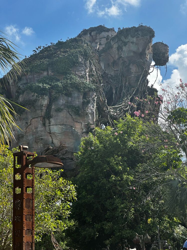 Large jungle mountain with floating islands tethered by vines. Designed to look like the ones from Pandora in the avatar movies