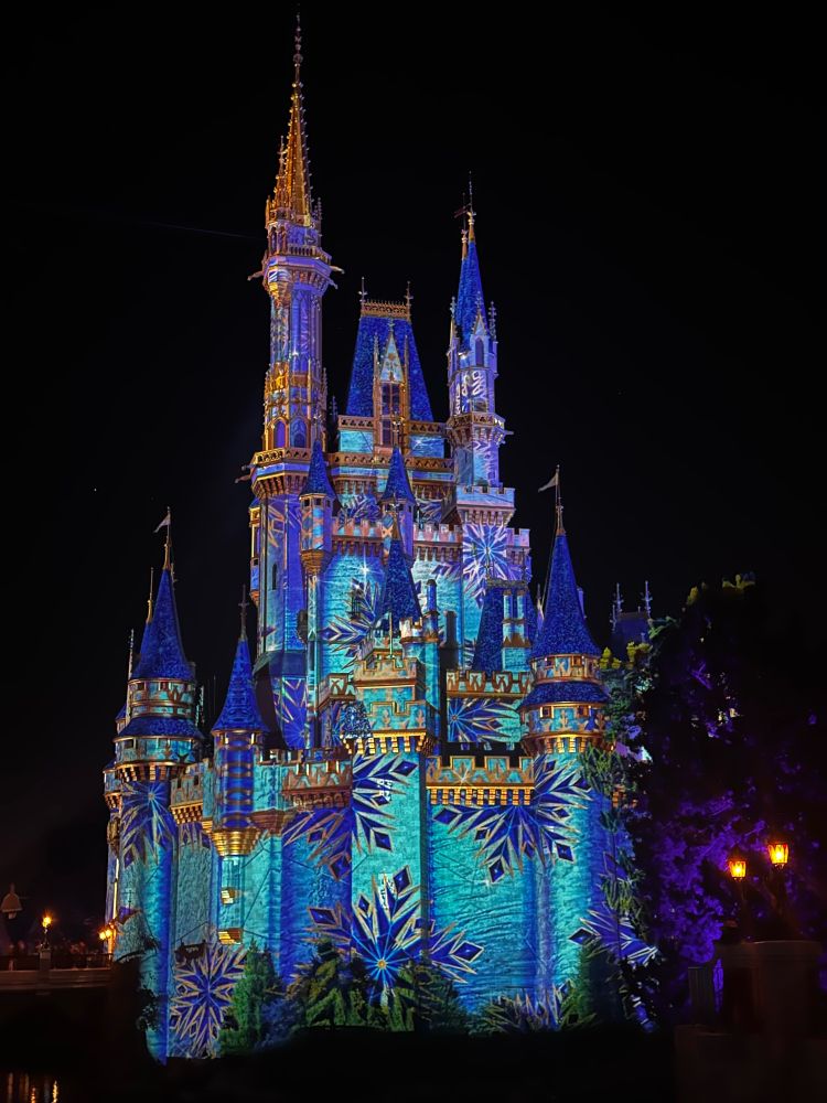 Cinderella’s castle in the magic kingdom. Using projection, the castle has been recoloured to sky blue, with dark blue leaves scatter around it outlined in gold. 