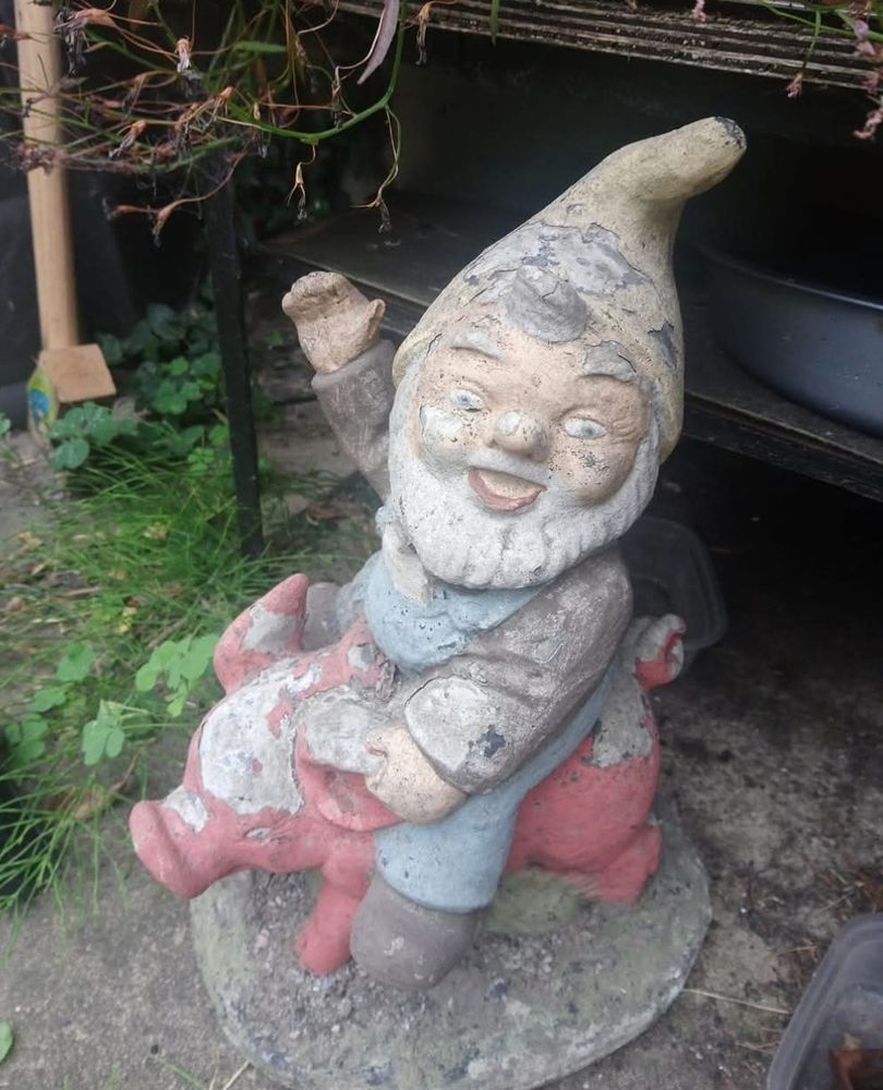 Garden gnome riding a pig.