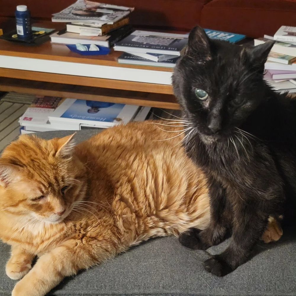 Roosevelt (L) and Hex (R) are the bestest of boys.
