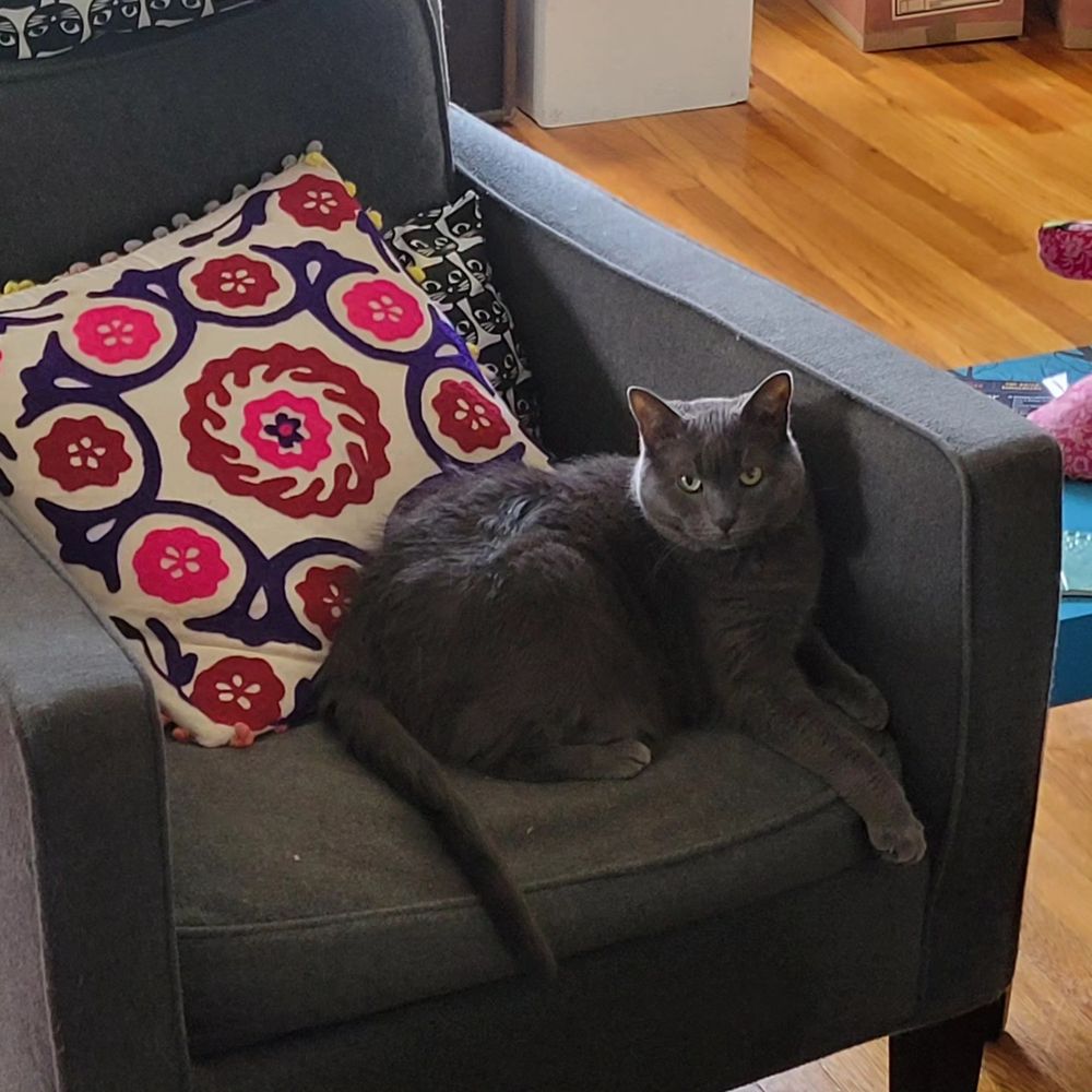 Kilo, looking regal.
