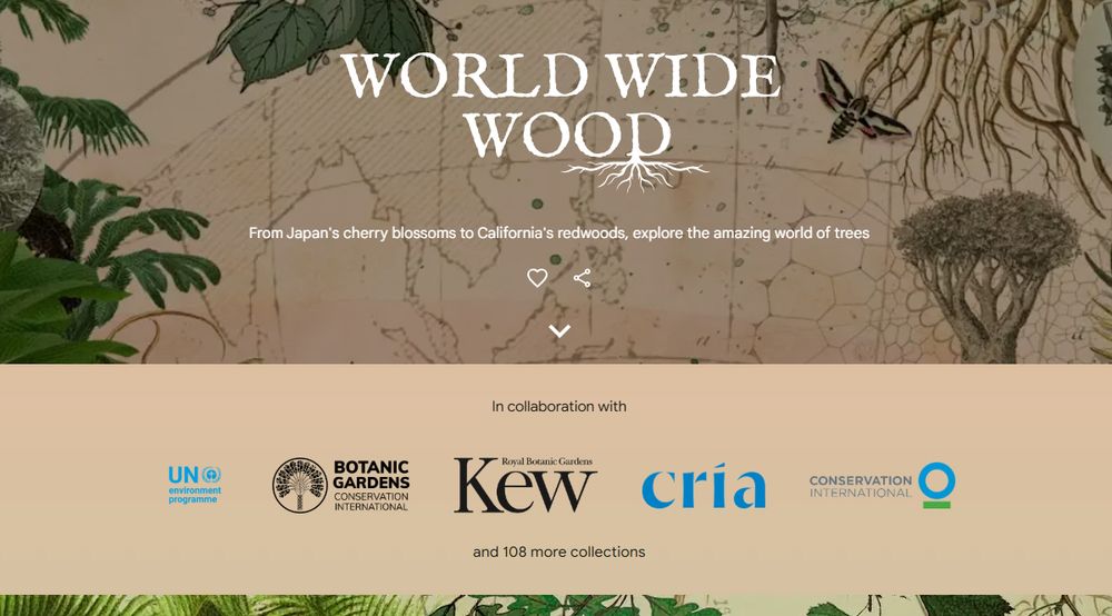 A landing page of the World Wide Wood featuring partner logos and illustrations of plants and animals