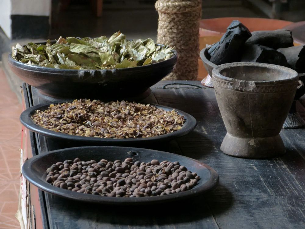 Preparation of coffee in Ethiopia, a native cultural crop that supports 15 million national livelihoods. Image © Jenny Williams / RBG Kew.