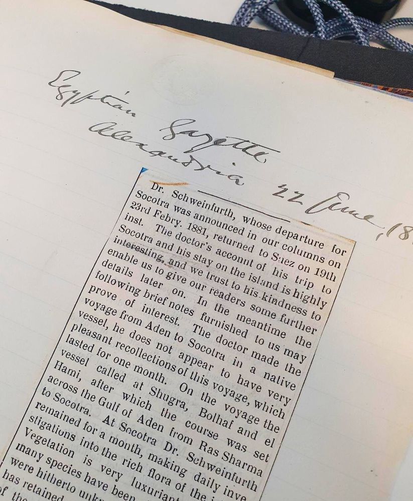 A newspaper cutting adhered to a guard paper in a bound volume. Someone has written in ink the title of the newspaper it has been taken from: 'Egyptian Gazette, Alexandria, 22 June 1880'. The section of the article that has been photographed reads: 'Dr. Schweinfurth, whose departure for Socotra was announced in our columns on 23rd February 1881, returned to Saez on 19th inst. The doctor's account of his trip to Socotra and his stay on the island is highly interesting, and we trust to his kindness to enable us to give our readers some further details later on. In the meantime the following brief notes furnished to us may prove of interest. The doctor made the voyage from Aden to Socotra in a native vessel, he does not appear to have very pleasant recollections of this voyage, which lasted for one month. On the voyage the vessel called at Shugra, Bolhaf, and el Hami, after which the course was set across the Gulf of Aden from Ras Sharma to Socotra. At Socotra Dr Schweinfurth remained for a month, making daily investigations into the rich flora of the [...]. Vegetation is very luxuriant [...]. 