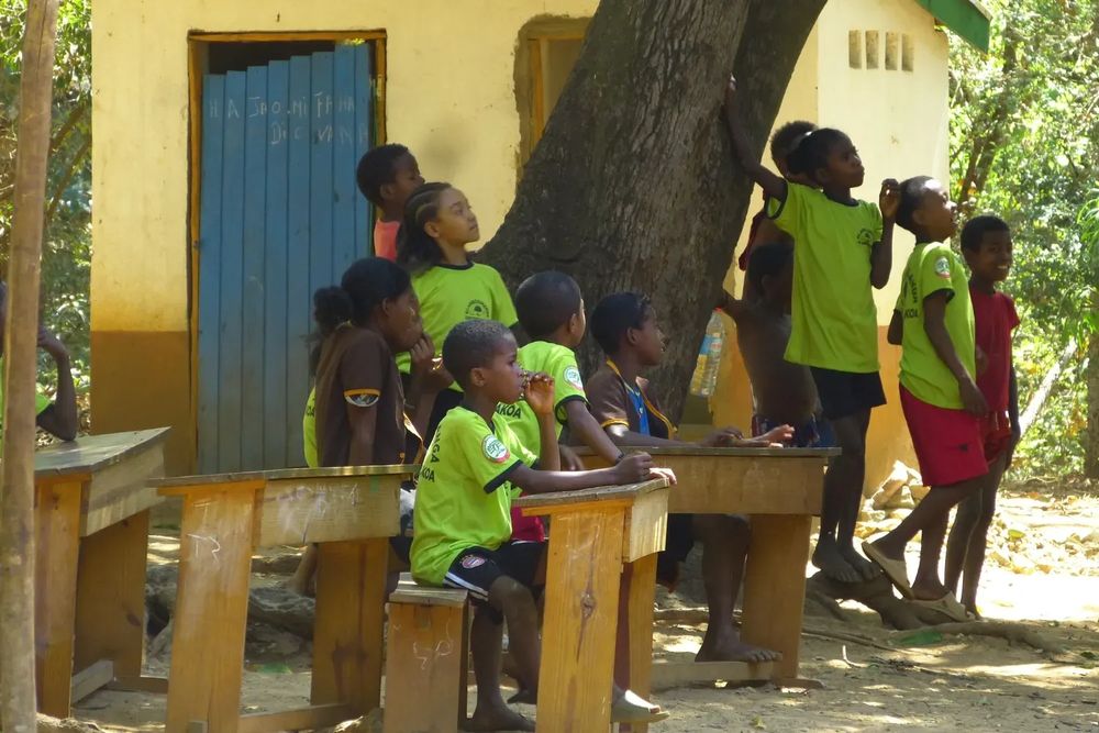Students take part in “Saturday Green School” sessions, using hands-on activities to build a deeper connection to their local forest