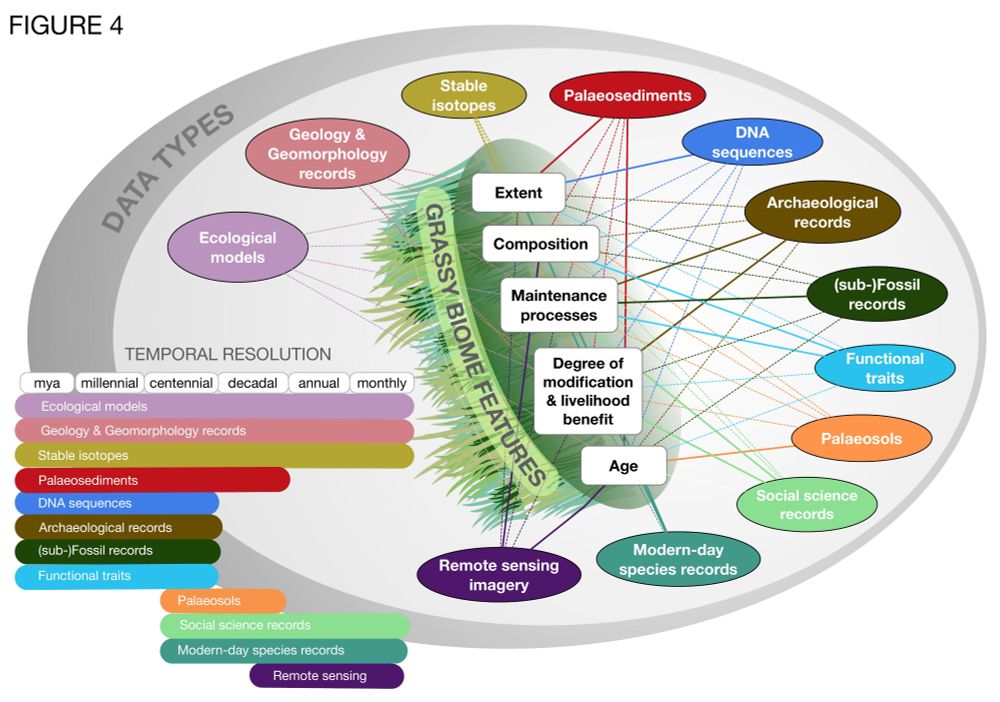 A conceptual diagram titled “GRASSY BIOME FEATURES” showing different data types aligned by temporal resolution. The horizontal axis represents time, from “millennial” and “mya” (millions of years ago) on the left, to “monthly” and “annual” on the right. Various data types—such as geology, stable isotopes, DNA sequences, archaeological and social science records, modern species records, and remote sensing—are plotted along this axis based on their temporal resolution. Additional features listed include age, extent, composition, degree of modification, livelihood benefit, and maintenance processes.