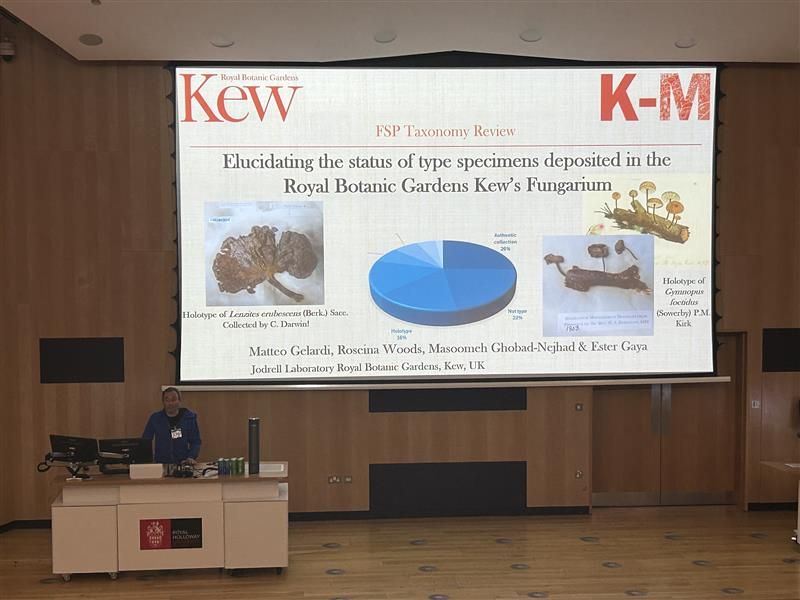 A speaker presents in a large lecture theatre with a slide titled “Elucidating the status of type specimens deposited in the Royal Botanic Gardens Kew’s Fungarium”, showing a pie chart and images of fungal specimens including one collected by Charles Darwin.
