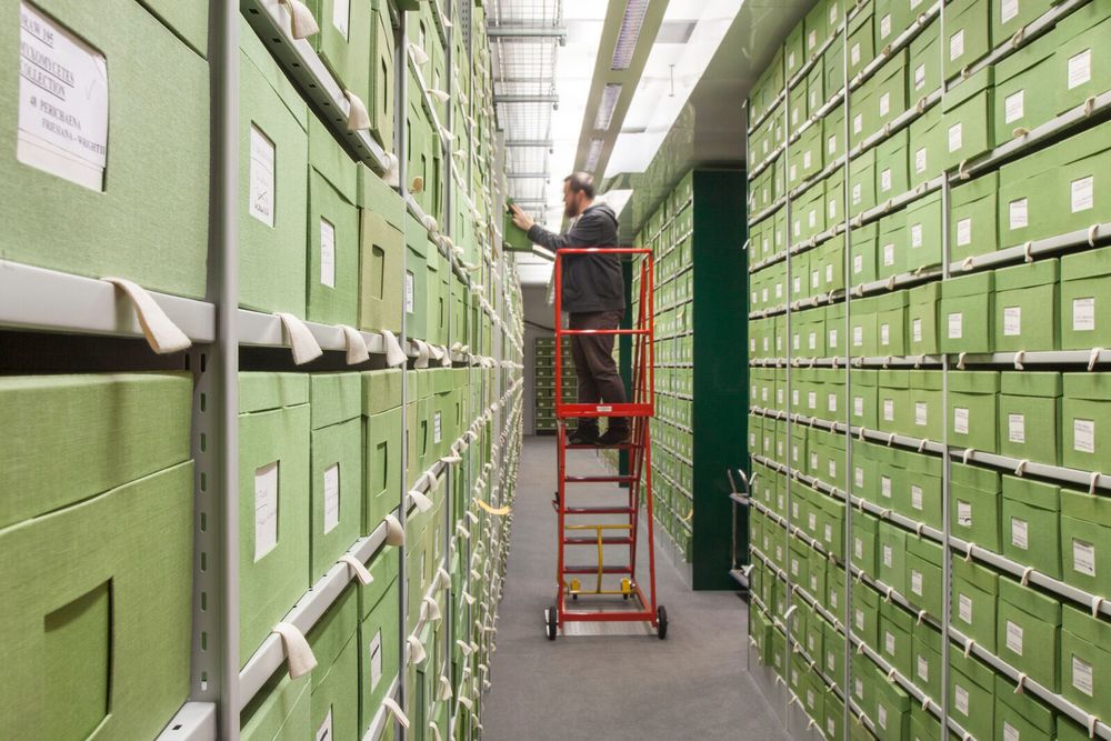 Specimens being shelved in Royal Botanic Gardens, Kew's Fungarium.