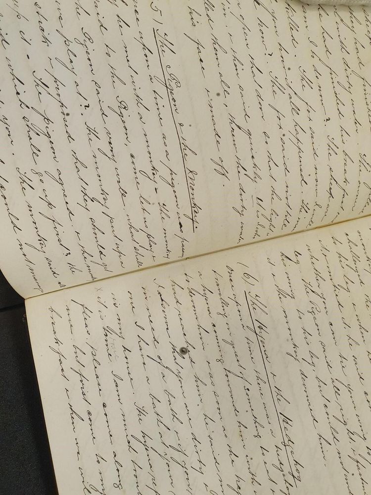 Ink handwriting in a bound volume, written in 19th century hand. The two fables whose titles are underlined and written out are 5) The Pigeon & the Monkey and 6) The Hyena & the Hedgehog. 
