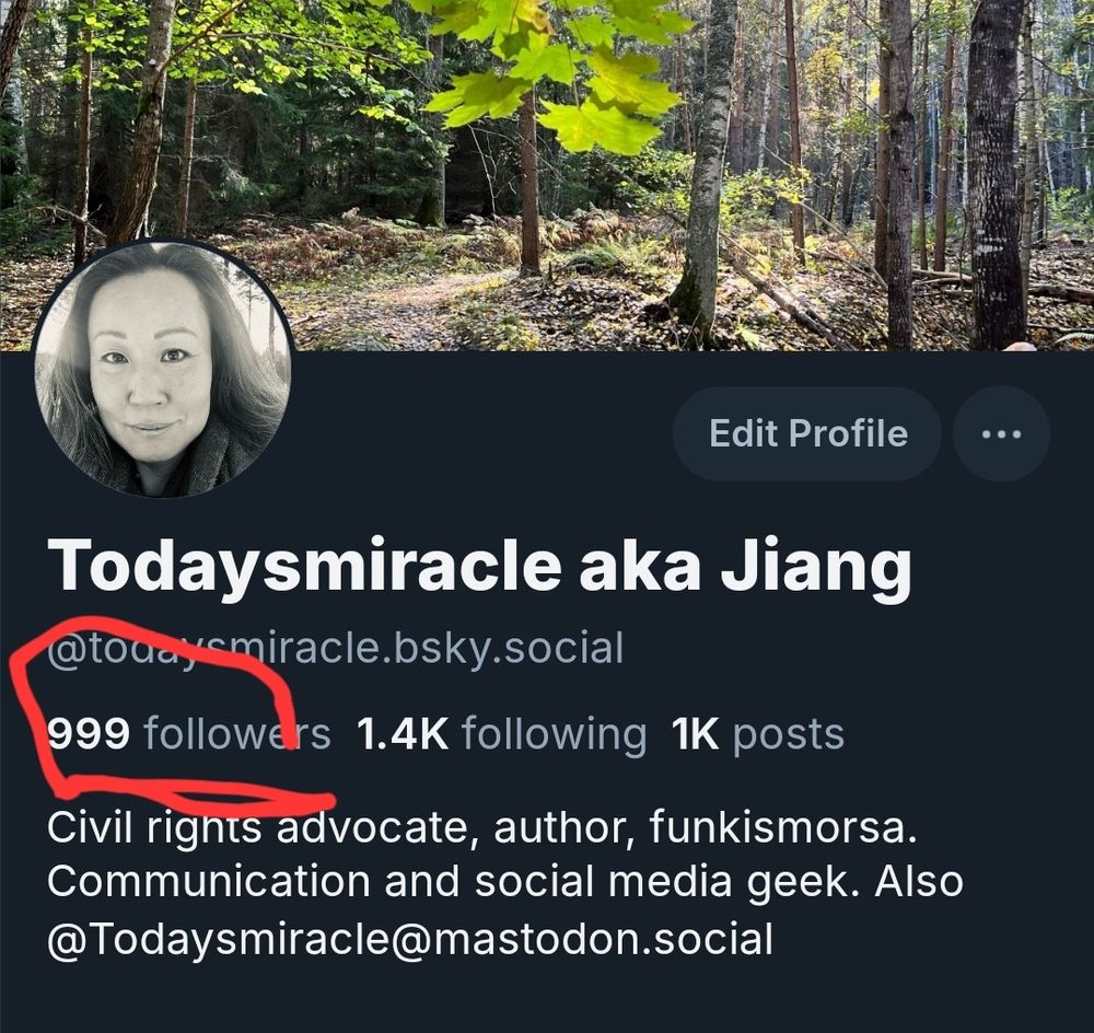 Blueskykontot visar att jag är 1 följare från 1000 följare.