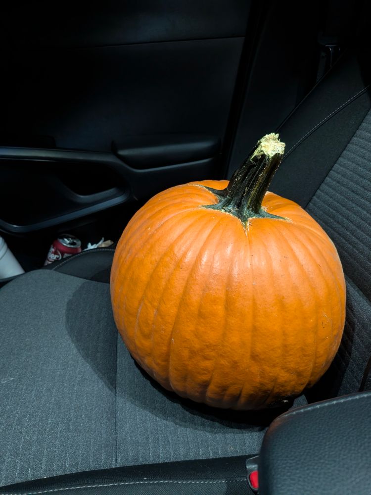 it's a pumpkin. in a passenger seat. she's bright pumpkin orange with a dark green stem. The OP is making a weird shitpost, and you shouldn't encourage her.
